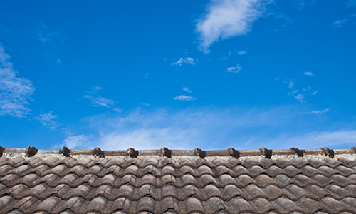 New shingle roof